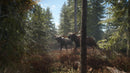 TheHunter Call of the Wild Ps4 Digital
