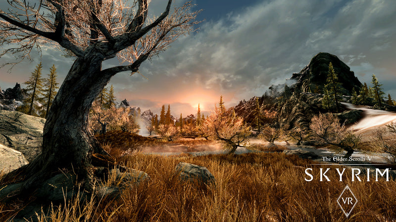 The Elder Scrolls V: Skyrim VR PS4 digital